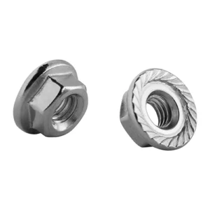 DIN 6923 AK Inox Flanşlı
