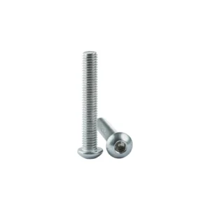 DIN 7380 Bombe Başlı İmbus Inox